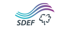 Logo SDEF
